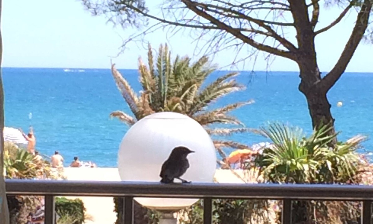 Argeles Plage Apartment | Exceptional sea view, seafront, Argeles Plage, Climatisation, Large apartment