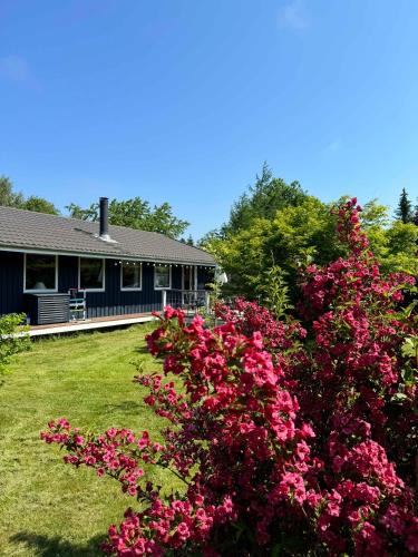 Udsholt Sand House | Experience Real Summer Idyll At Drageholmen 3