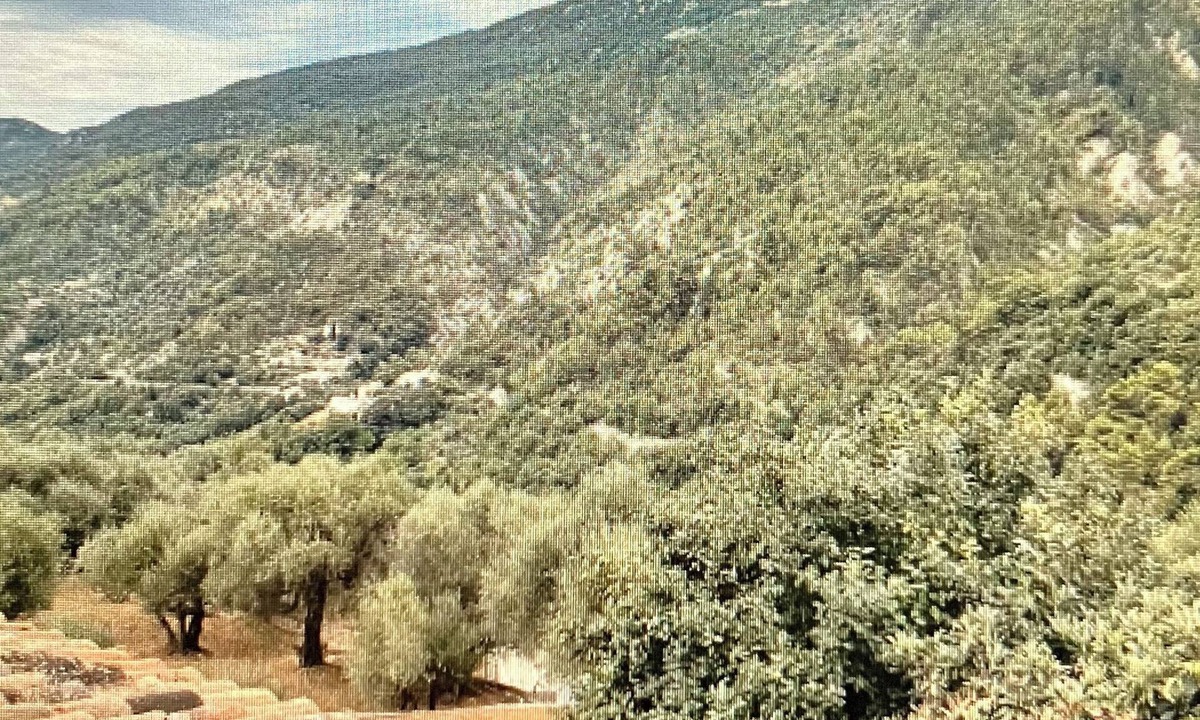 Coaraze Apartment | Experience the sweetness of Provence in this cocoon in Coaraze