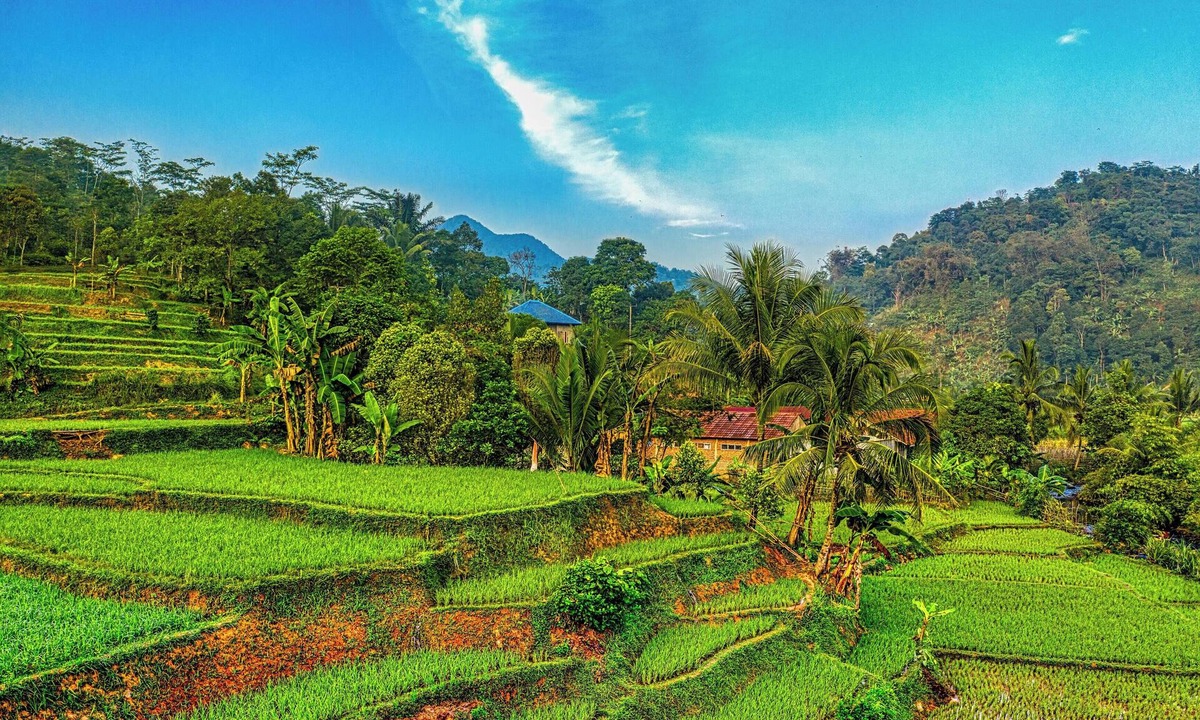 Federal Way House | Explore Seattle and Tacoma from this room !