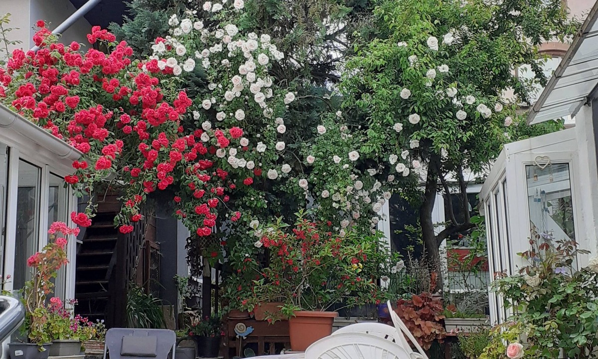 Mutzig Apartment | F1 type studio between Strasbourg and Colmar on the wine route.