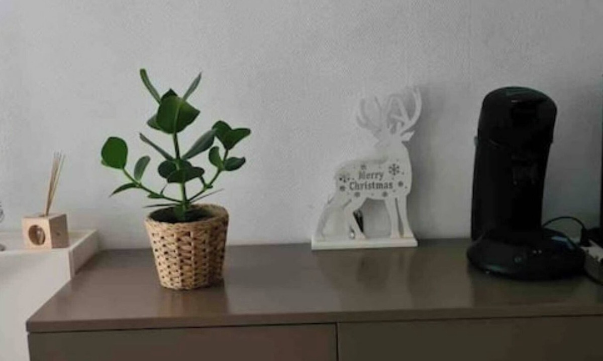 Poincare - Foch - Anatole France - Croix de Bourgogne Apartment | F2 5min from the station, duplex, quiet, 47m2