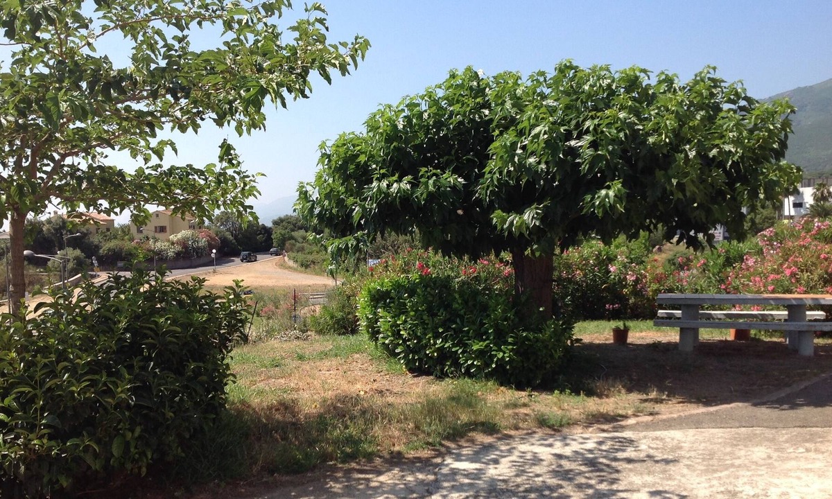 Furiani Apartment | F3 villa floor Furiani