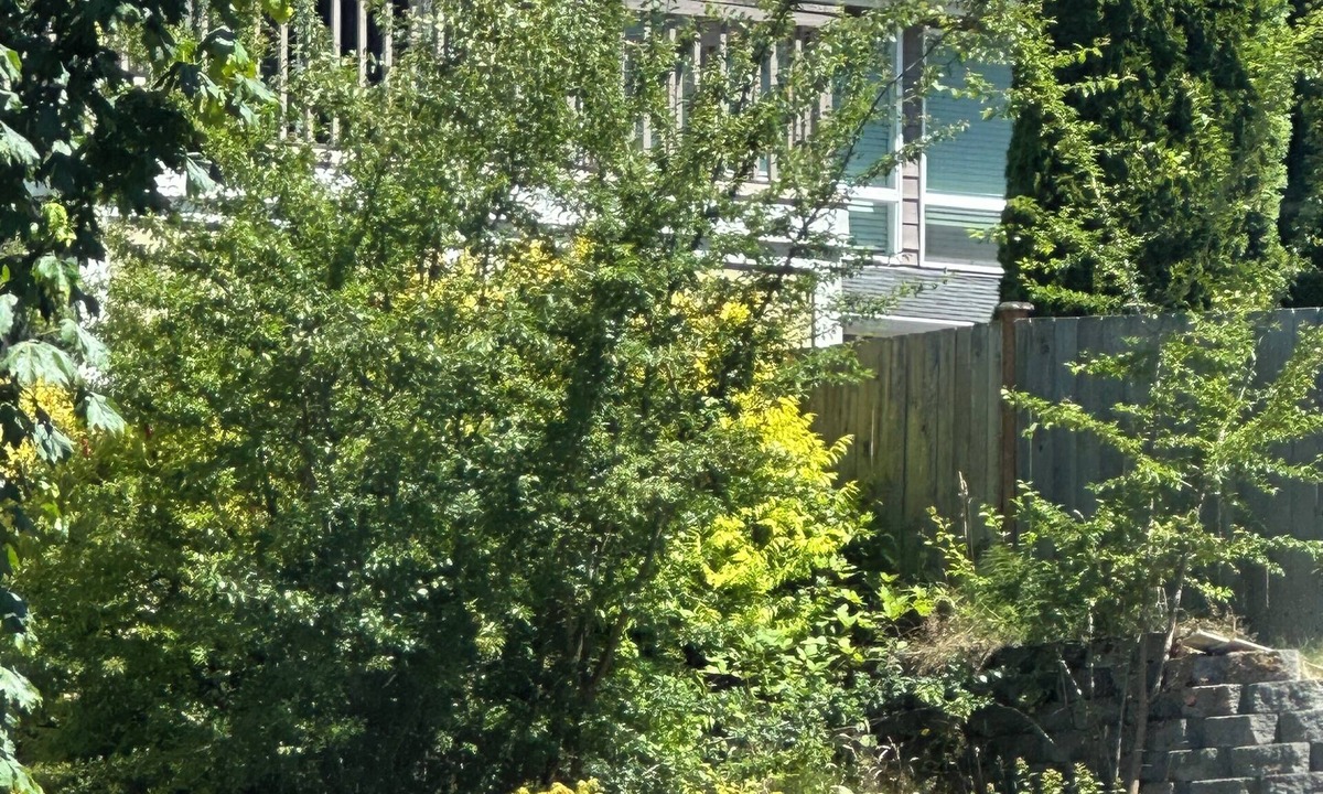 Marysville House | Fabulous cozy Studio with kitchen bathroom Laundry