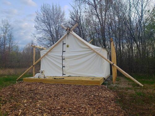 South Haven House | Fabulous Michigan Glamping Getaway near South Haven