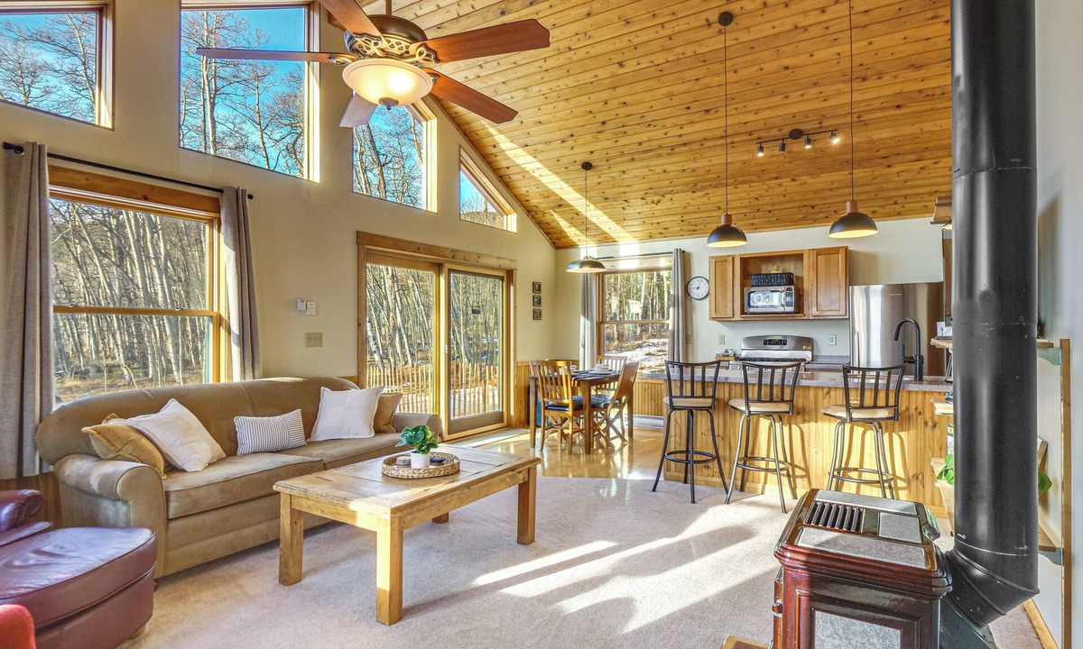 Warm Springs Cottage | Fairplay Cabin Basecamp: Wildlife & Pond Views!