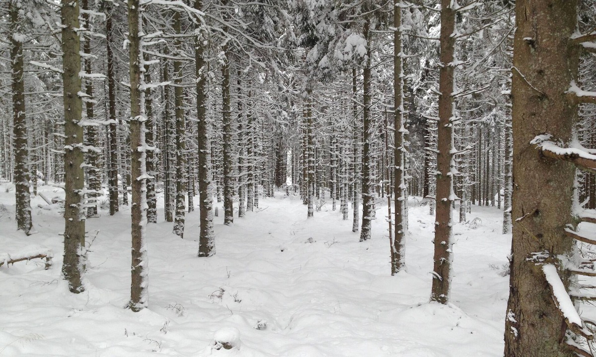 Falstone Apartment | Falstone Barns