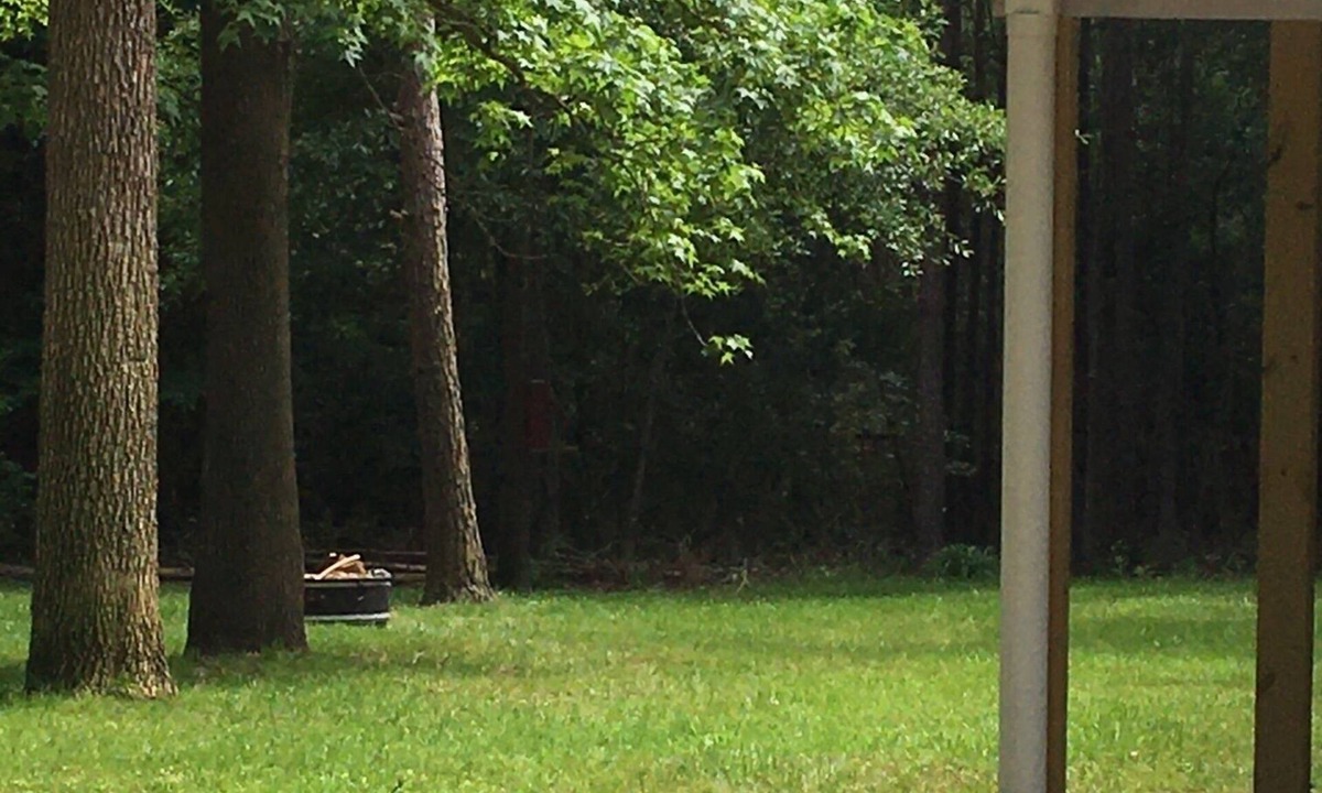 Etoile House | Family and Pet friendly- Shirley Creek lake house at Sam Rayburn!