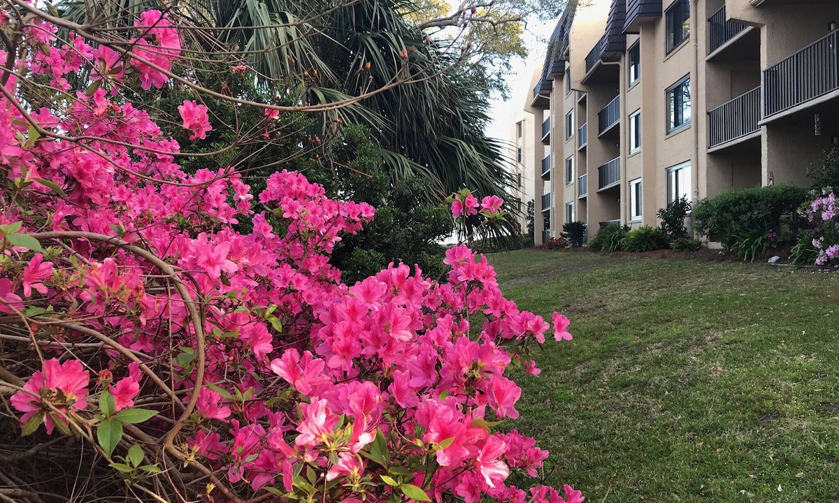 Folly Field Condo | Family-friendly oceanside condo on Hilton Head Island