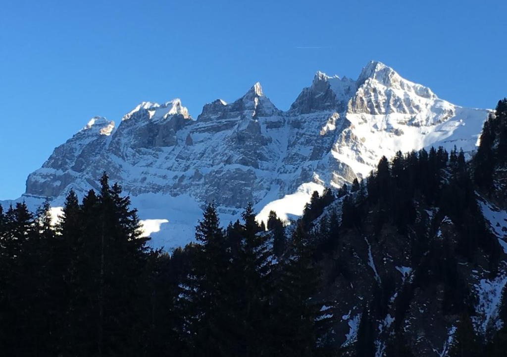 Val d'Illiez Apartment | Family friendly appt on the slopes