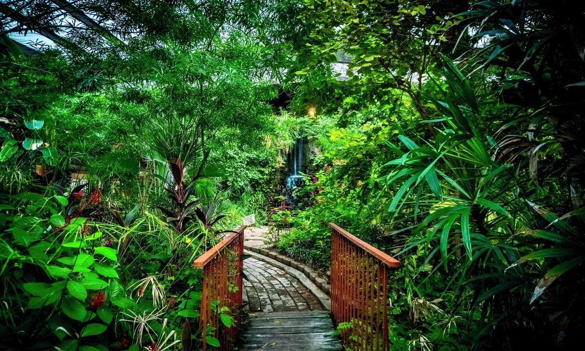 Bonanza Hotel | Family Garden Inn & Suites