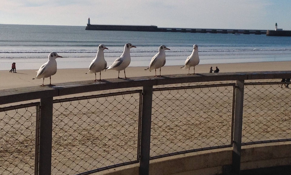 Olonne-sur-Mer House | Family holiday house 1km Ocean seaside
