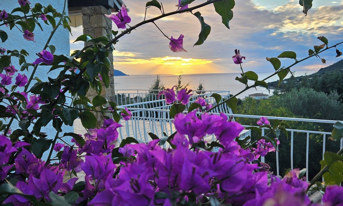 Casaglione House | Family home