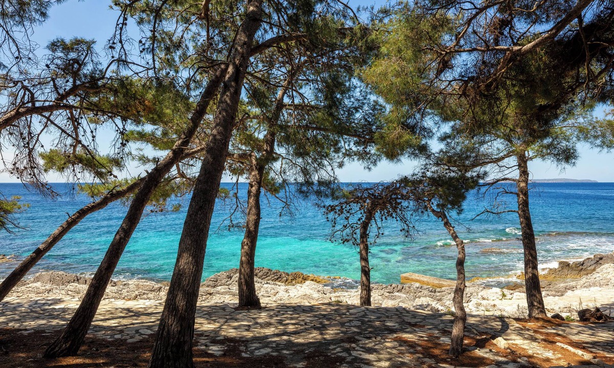 Cove Murtar Hotel | Family Hotel Vespera