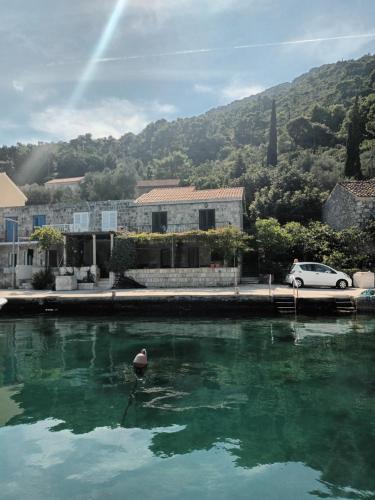 Prozurska Luka House | Family house Frana