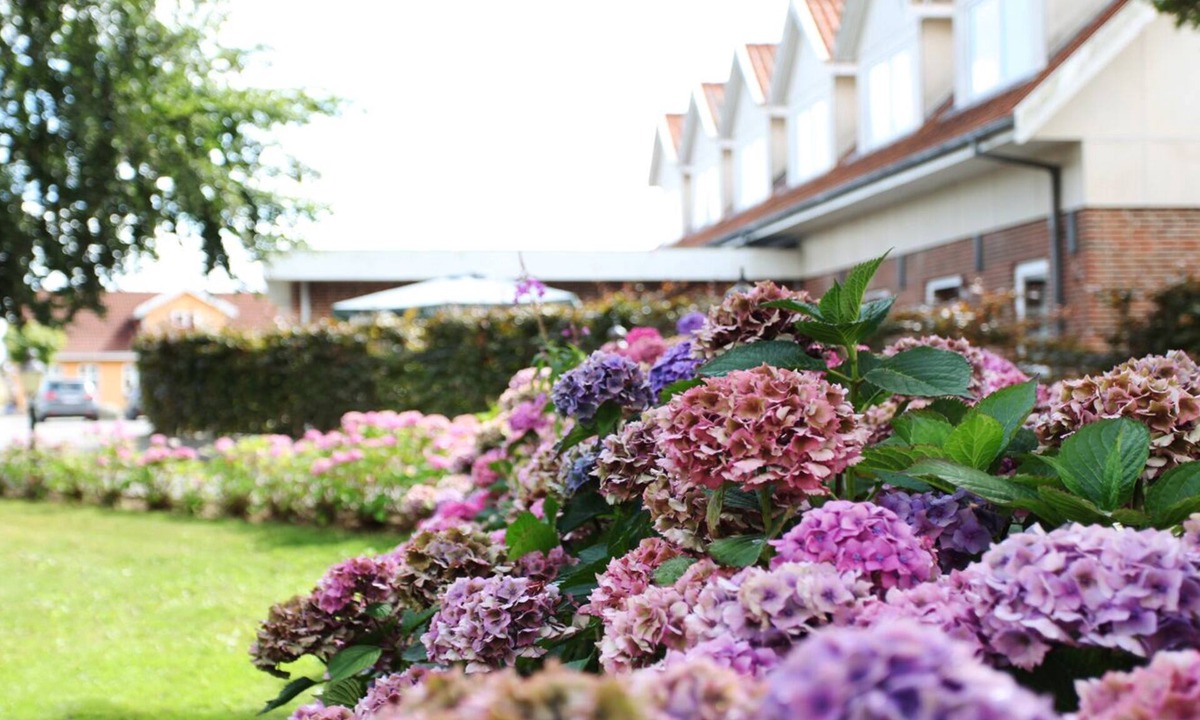 Varbjerg Hotel | Fangel Kro & Hotel