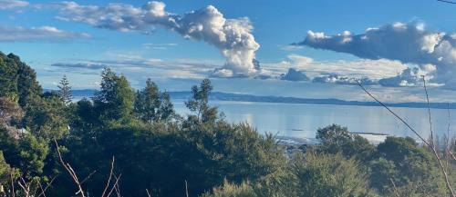 Thames Bed & Breakfast | Fantail Hill