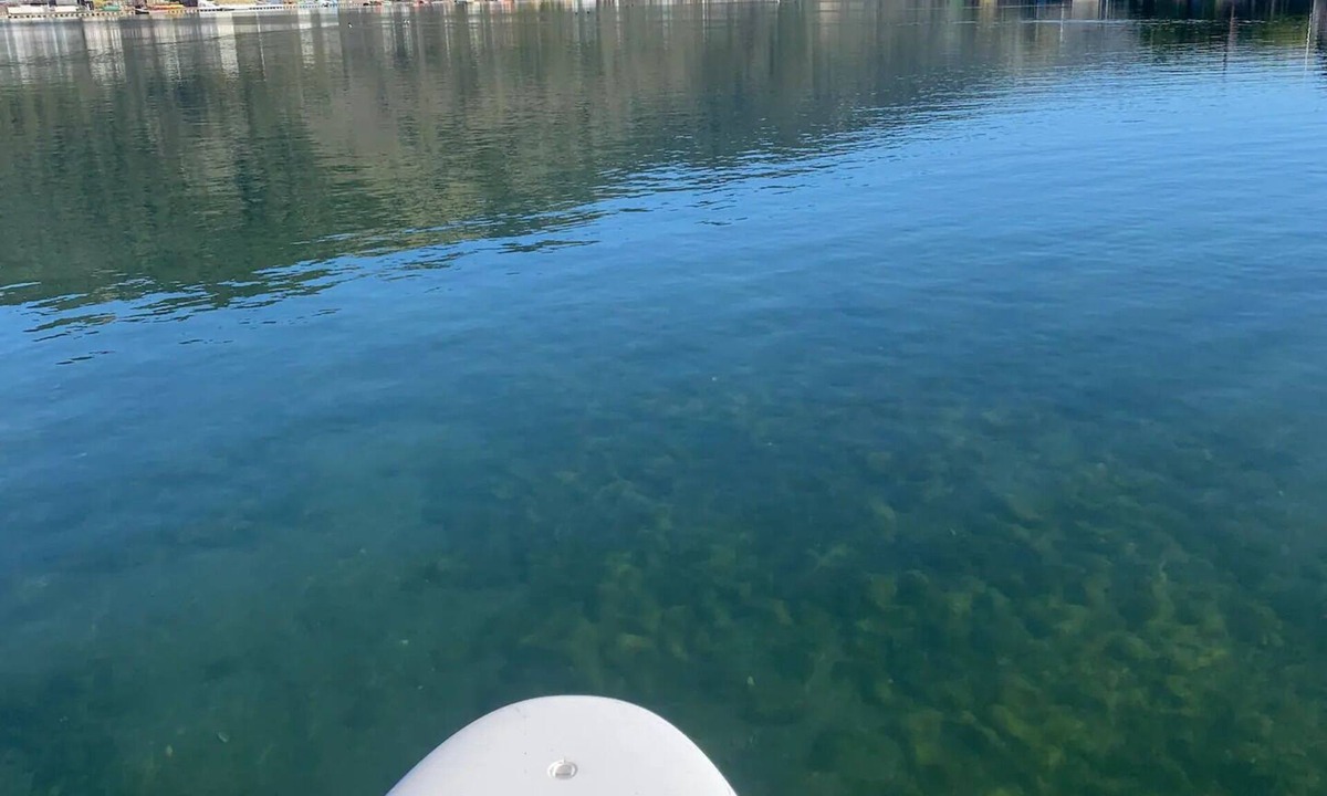 Stinson Beach House | Fantastic Waterfront Escape with Hot Tub, Firepit, Paddleboards, Dock & Bay View