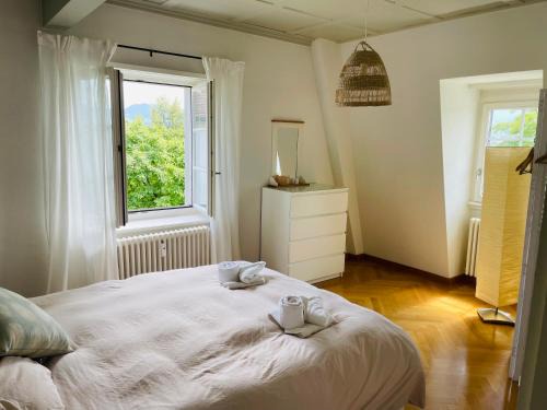 Meilen District Apartment | Fantastically beautiful old building apartment with lake view