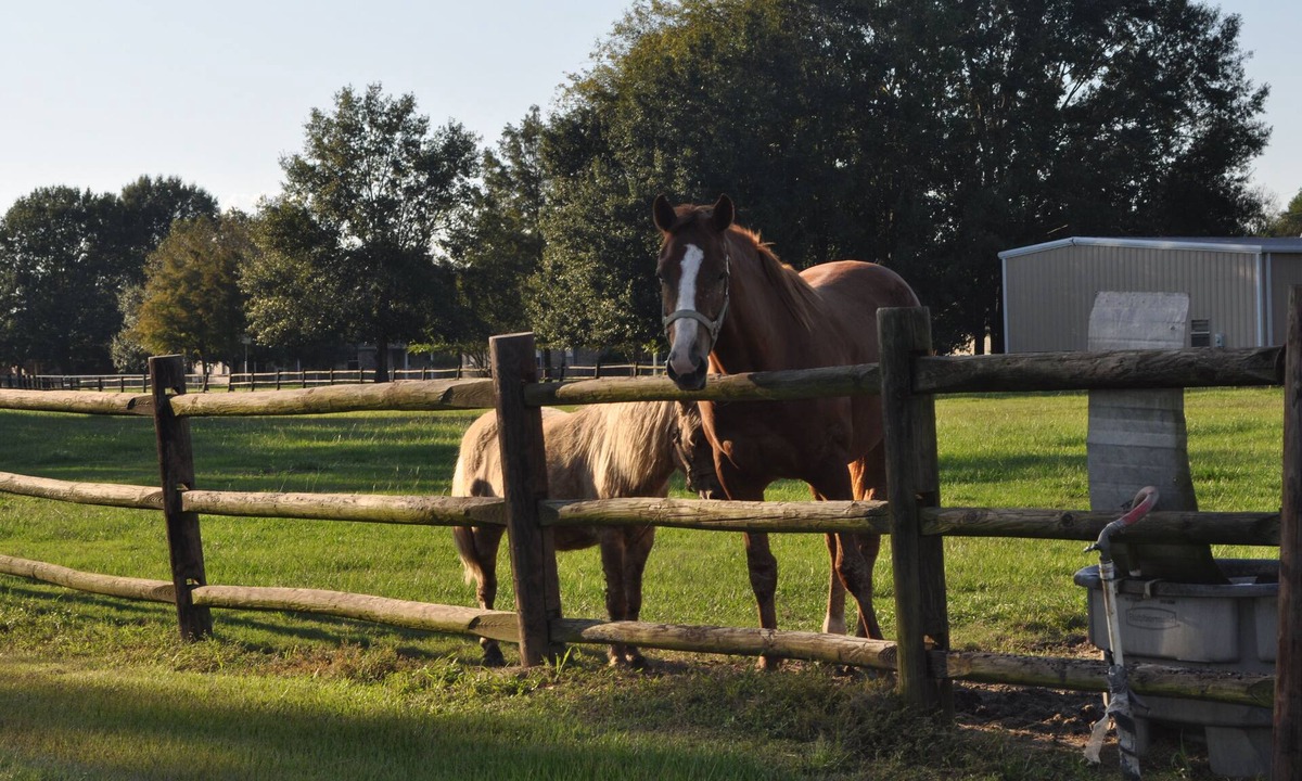 Scott House | Farm Charm Enjoy the Great Scenery