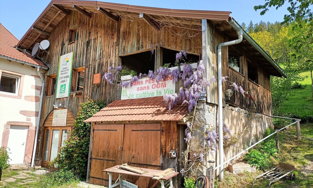 Le Tholy Ski Chalet | Farm cottage