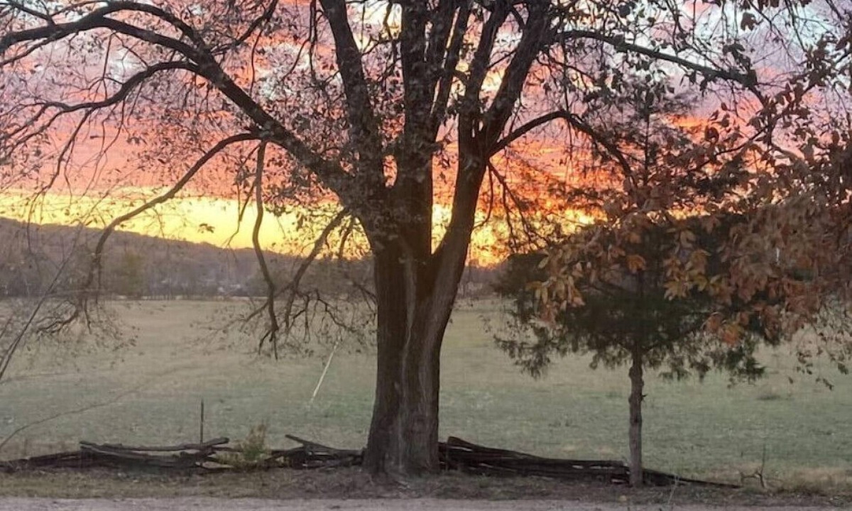Mount Sterling House | Farm home on 143 beautiful acresn
