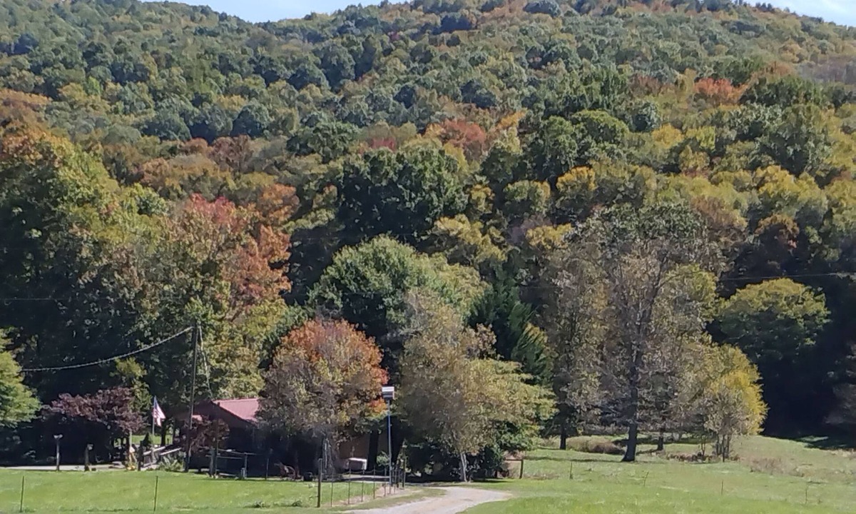 Mouth of Wilson Other | Farm house, near Mt. Rogers, State Parks, Hiking, fishing, horse riding, tubing.