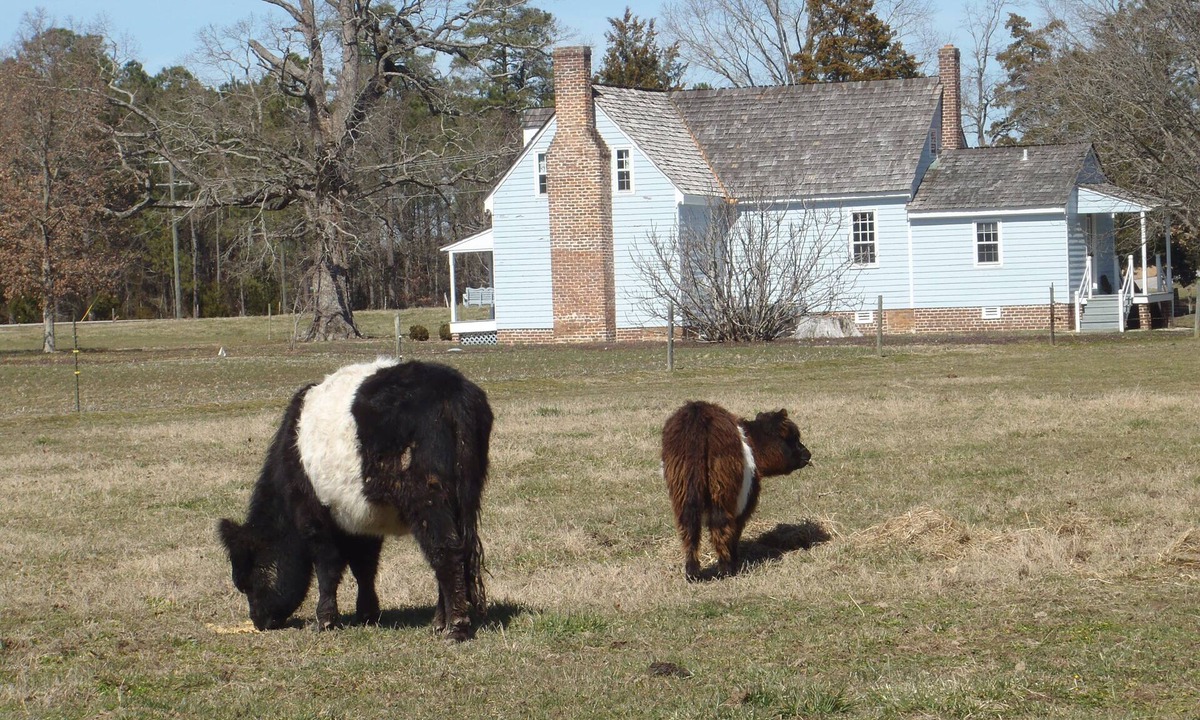 Wakefield Other | Farm-stay, Diversified Working Farm, Agrarian Setting