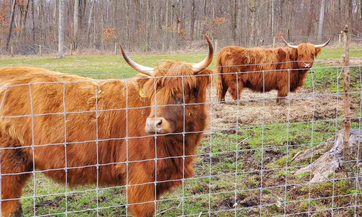 Kossuth Apartment | Farm Stay -Hideaway Haven Farm