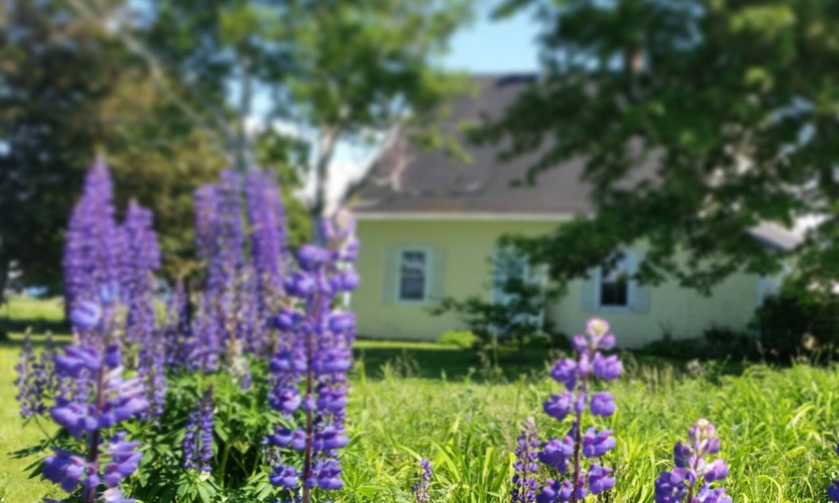 White Sands Cottage | Farmhouse on the sea