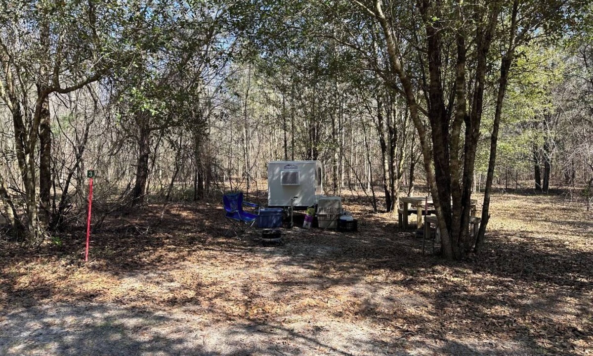 Tallahassee RV Rental | Farmstay- SMALL RV primitive site