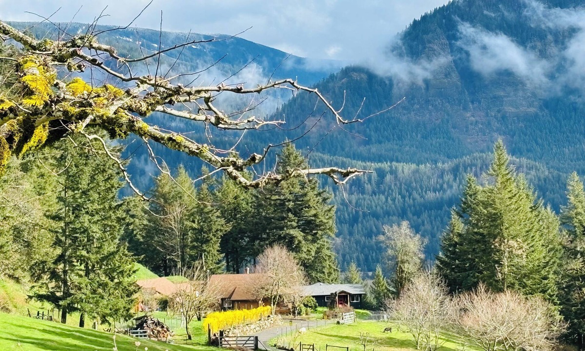 Stevenson House | Farmstead Haven, River Views & Outdoor Sauna