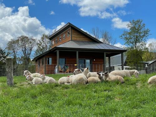 Hartland Four Corners House | Fat Sheep Farm & Cabins