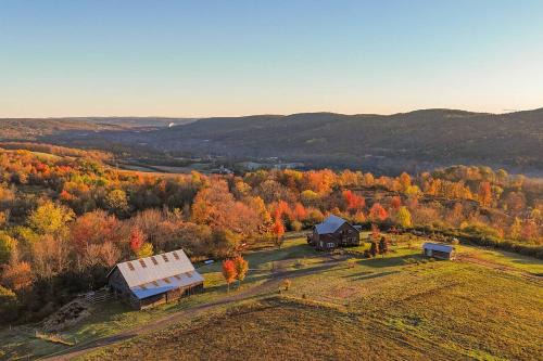 Alfred Station House | Fawn Crest -Timber Frame Retreat, Firepit, 20 acre