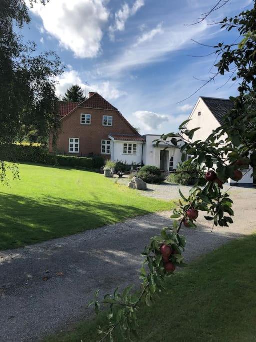 Egsmark Strand Apartment | Ferielejlighed til 2 personer