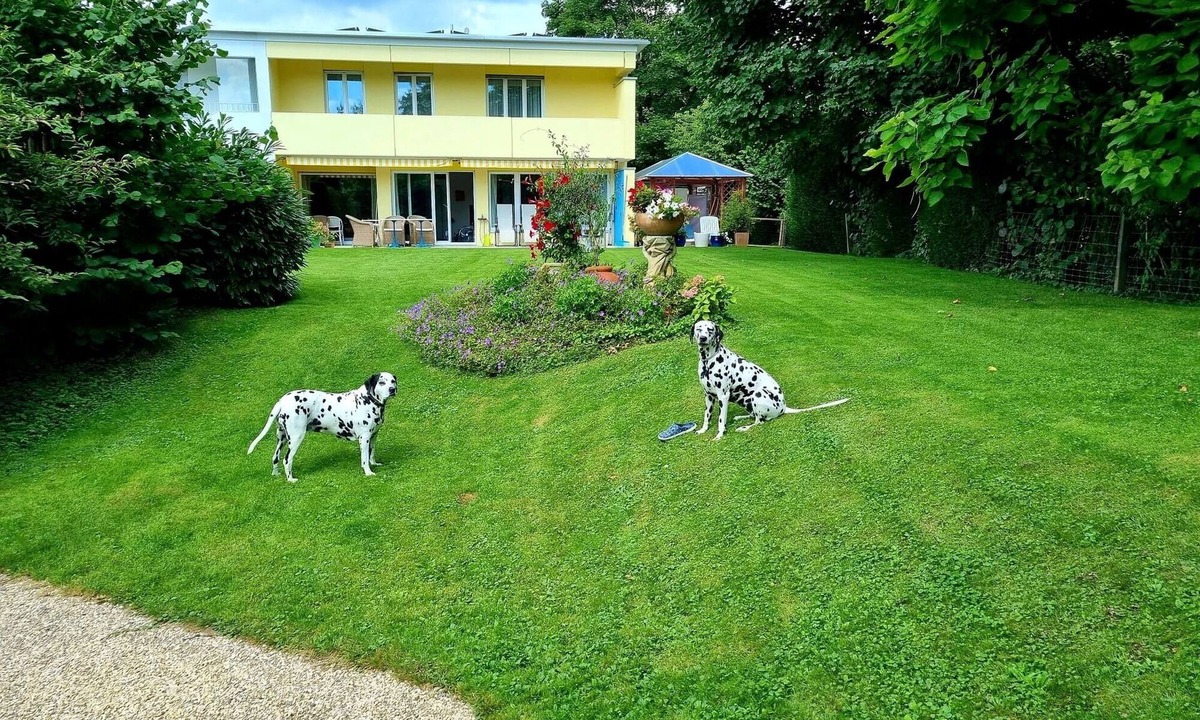 Cham Apartment | Ferienwohnung/app. für 2 Gäste mit 20m² in Cham