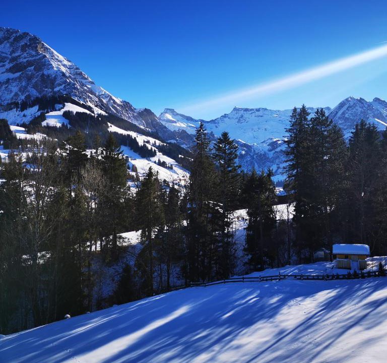 Adelboden Apartment | Ferienwohnung Crea