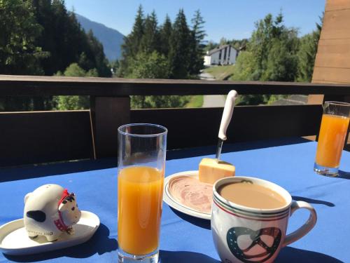 Laax Apartment | Ferienwohnung Laax mit Traumblick, großem Balkon und Terrasse