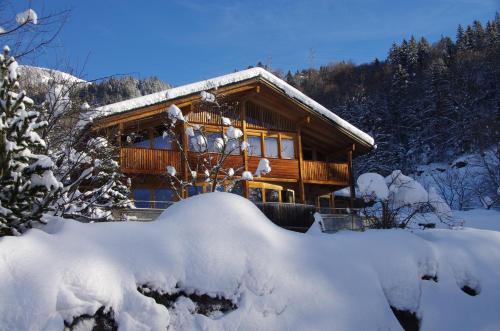 Hohfluh Apartment | Ferienwohnung Leuweli