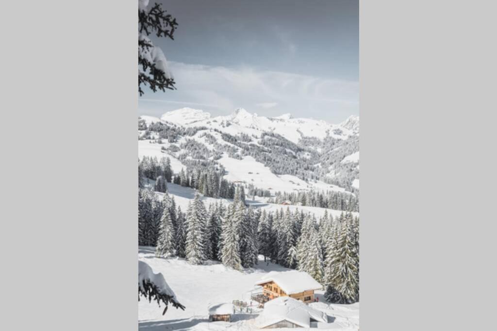 Saanenmoeser Apartment | Ferienwohnung Lochstafel