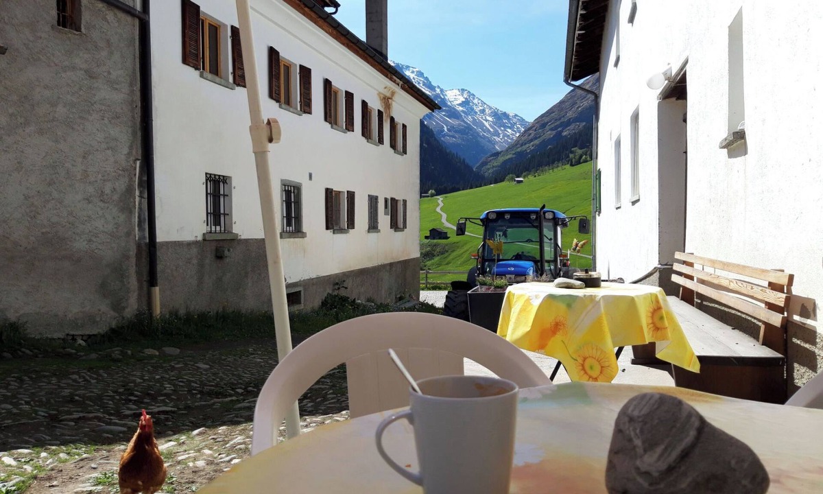 Nufenen Apartment | Ferienwohnungen im Schloss, (Nufenen). by Interhome