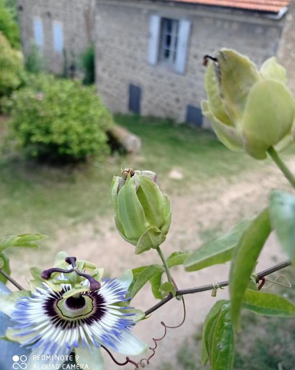 Boulieu-les-Annonay House | Ferme de fenivou