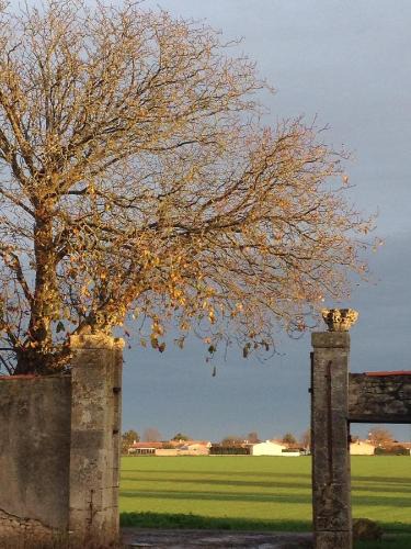 LHoumeau Bed & Breakfast | Ferme de Maillezais