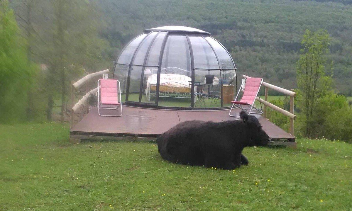 Montoulieu Bed & Breakfast | Ferme des Baillards