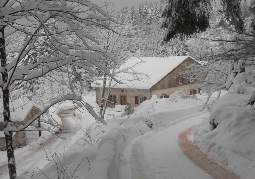 Gerardmer House | Ferme Des Poncées