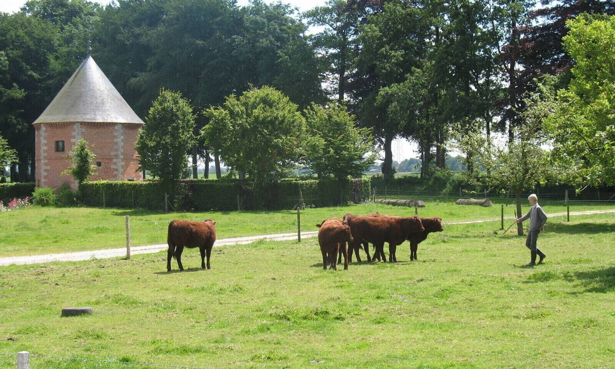 Varneville-Bretteville Other | Ferme du Printemps, unusual place, zen, swimming pool, garden, farm experiences
