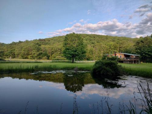 Fishs Eddy House | Fern Hollow Home