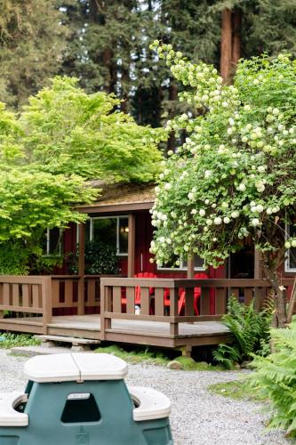 Felton Resort | Fern River Resort