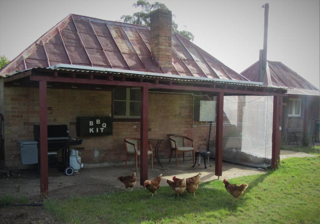 Marrangaroo Bed & Breakfast | Fernbrook Cottage