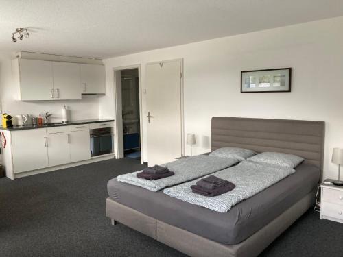 Amsoldingen Apartment | FeWo-Studio Linde